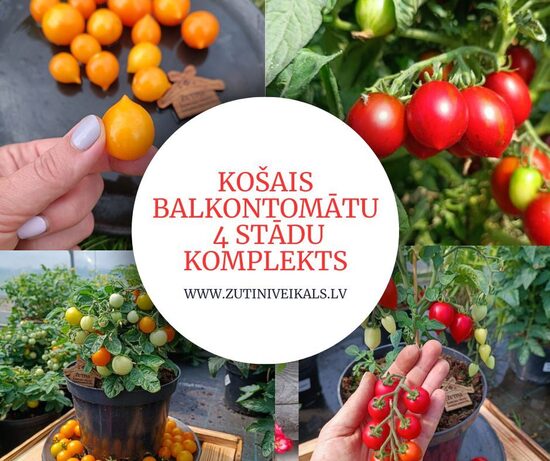KOŠAIS BALKONTOMĀTU  4 STĀDU   KOMPLEKTS AR IEKĻAUTU SŪTĪŠANU